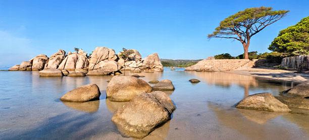 Zone commercial corse